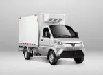 Wuling Wuling image 1