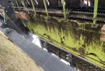 CLAAS Sunspeed image 9