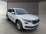 Skoda Kodiaq image 1