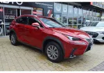 Lexus NX 300i image 1