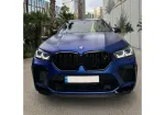 BMW X6 image 2