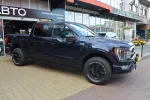 Ford F-150 image 1