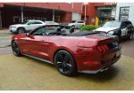 Ford Mustang image 4